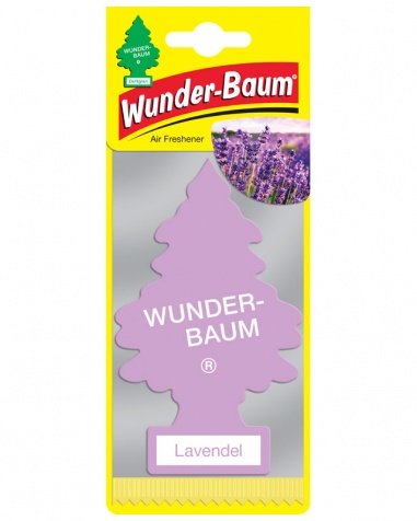 Doftgran Wunder-Baum Lavendel